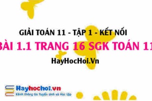Giải bài 1.1 trang 16 Toán 11 tập 1 SGK Kết nối tri thức